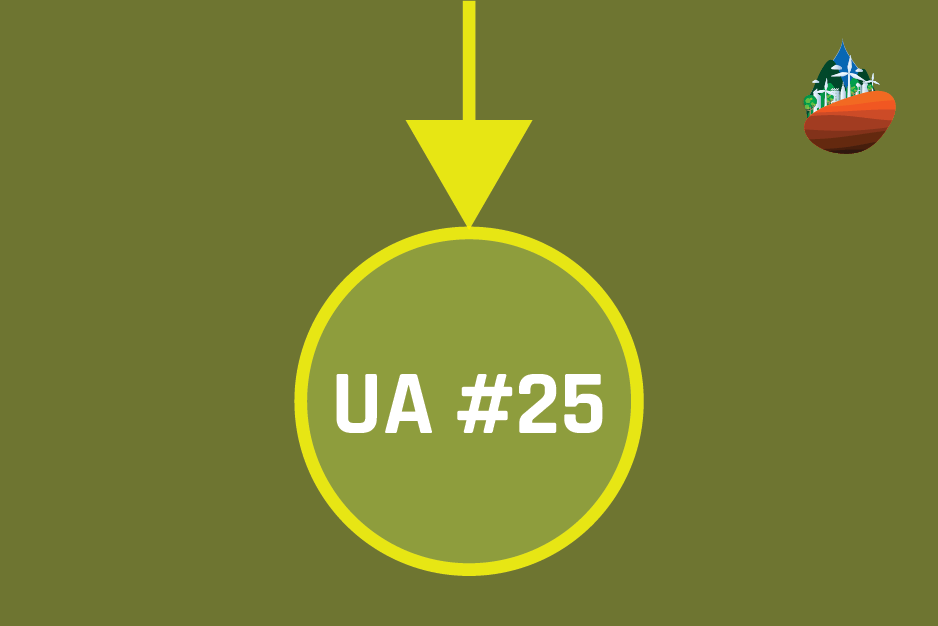 Featured image for “UA / ISSUE 25”