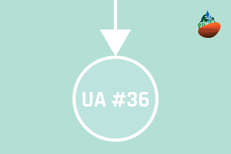 Featured image for “UA / ISSUE 36”